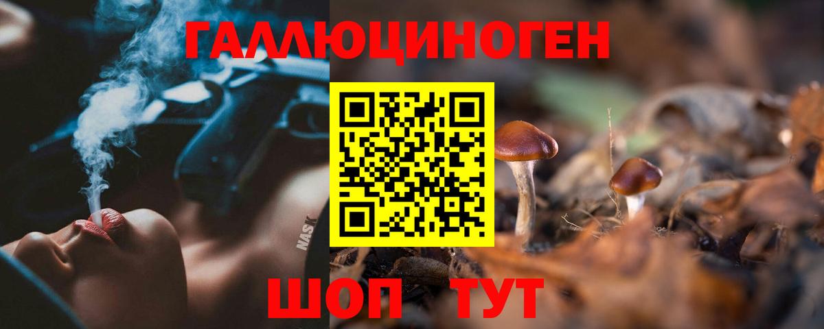 Владимир  Галлюциногенные грибы MAGIC MUSHROOMS  закладка  Вход с VPN  Псилоцибиновые грибы Cubensis 